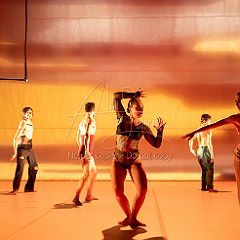 LesOiseaux 20250629 092.jpg