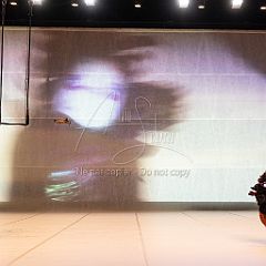 LesOiseaux 20250629 099.jpg