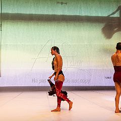 LesOiseaux 20250629 101.jpg