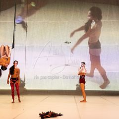 LesOiseaux 20250629 102.jpg