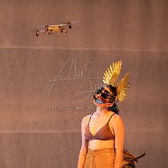 LesOiseaux 20250629 108.jpg