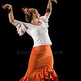 Flamenc'Ambos 20121114_084 CPR.jpg