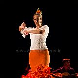 Flamenc'Ambos 20121114_100 CPR.jpg