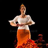 Flamenc'Ambos 20121114_101 CPR.jpg