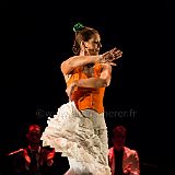 Flamenc'Ambos 20121114_113 CPR.jpg