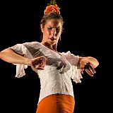 Flamenc'Ambos 20121114_119 CPR.jpg