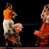 Flamenc'Ambos 20121114_125 CPR.jpg
