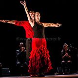 Flamenc'Ambos 20121114_141 CPR.jpg