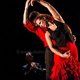 Flamenc'Ambos 20121114_143 CPR.jpg