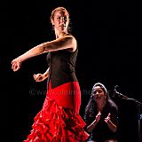 Flamenc'Ambos 20121114_152 CPR.jpg