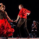 Flamenc'Ambos 20121114_156 CPR.jpg