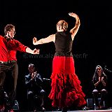 Flamenc'Ambos 20121114_158 CPR.jpg