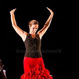 Flamenc'Ambos 20121114_164 CPR.jpg