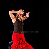Flamenc'Ambos 20121114_166 CPR.jpg