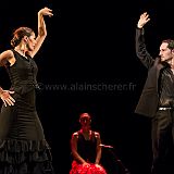 Flamenc'Ambos 20121114_174 CPR.jpg