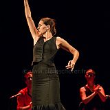 Flamenc'Ambos 20121114_180 CPR.jpg
