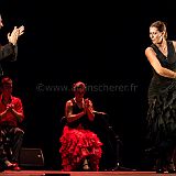 Flamenc'Ambos 20121114_187 CPR.jpg