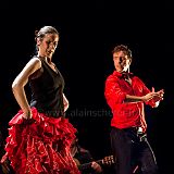 Flamenc'Ambos 20121114_194 CPR.jpg