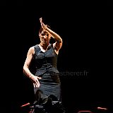 Flamenc'Ambos 20121114_195 CPR.jpg