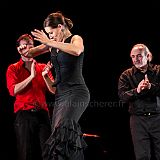 Flamenc'Ambos 20121114_203 CPR.jpg