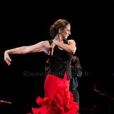 Flamenc'Ambos 20121114_206 CPR.jpg