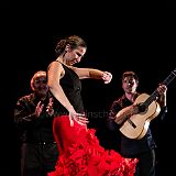 Flamenc'Ambos 20121114_207 CPR.jpg