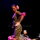 Sello Flamenco_20090321_366_PRT CPR.jpg