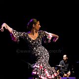 Sello Flamenco_20090321_402_PRT CPR.jpg