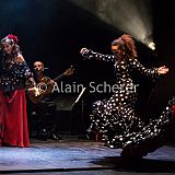 Carmen Flamenco_20170721_057 CPR.jpg