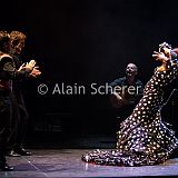 Carmen Flamenco_20170721_093 CPR.jpg