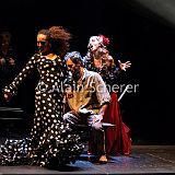 Carmen Flamenco_20170721_134 CPR.jpg