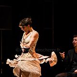 Flamenco en_el_Recreo_20130109_010 CPR.jpg