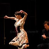 Flamenco en_el_Recreo_20130109_011 CPR.jpg