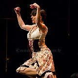 Flamenco en_el_Recreo_20130109_012 CPR.jpg