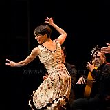 Flamenco en_el_Recreo_20130109_017 CPR.jpg