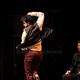 Flamenco en_el_Recreo_20130109_018 CPR.jpg