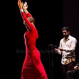 Flamenco en_el_Recreo_20130109_052 CPR.jpg