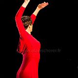 Flamenco en_el_Recreo_20130109_056 CPR.jpg
