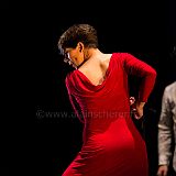 Flamenco en_el_Recreo_20130109_057 CPR.jpg