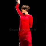 Flamenco en_el_Recreo_20130109_058 CPR.jpg