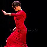 Flamenco en_el_Recreo_20130109_061 CPR.jpg