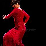 Flamenco en_el_Recreo_20130109_062 CPR.jpg