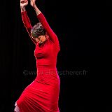 Flamenco en_el_Recreo_20130109_063 CPR.jpg