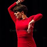 Flamenco en_el_Recreo_20130109_064 CPR.jpg