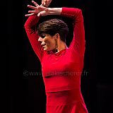 Flamenco en_el_Recreo_20130109_065 CPR.jpg