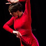 Flamenco en_el_Recreo_20130109_067 CPR.jpg
