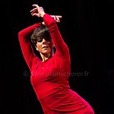Flamenco en_el_Recreo_20130109_068 CPR.jpg