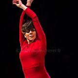 Flamenco en_el_Recreo_20130109_069 CPR.jpg