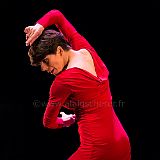 Flamenco en_el_Recreo_20130109_070 CPR.jpg