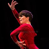 Flamenco en_el_Recreo_20130109_071 CPR.jpg